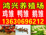 养殖场牌匾