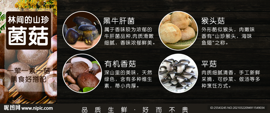 林间的山珍菌菇