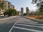 马路