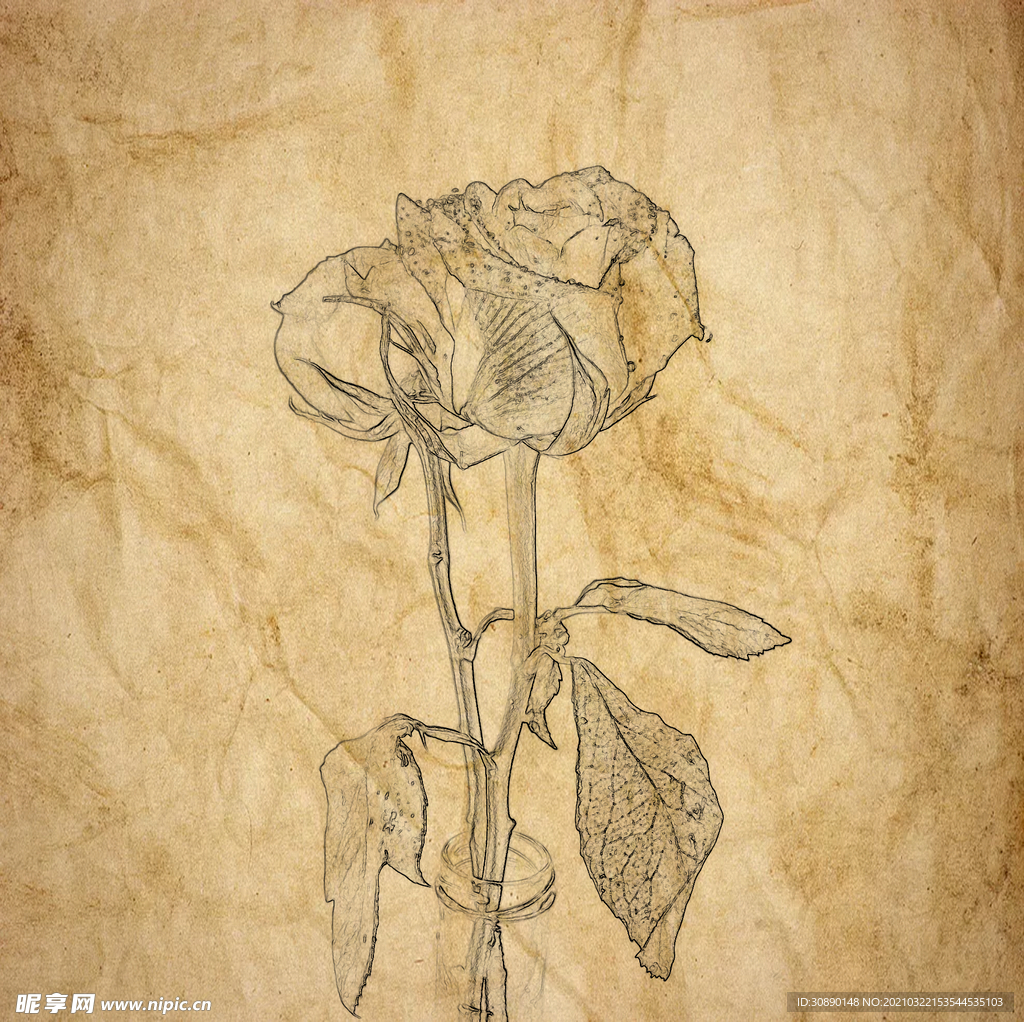 素描效果