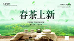 春茶上市