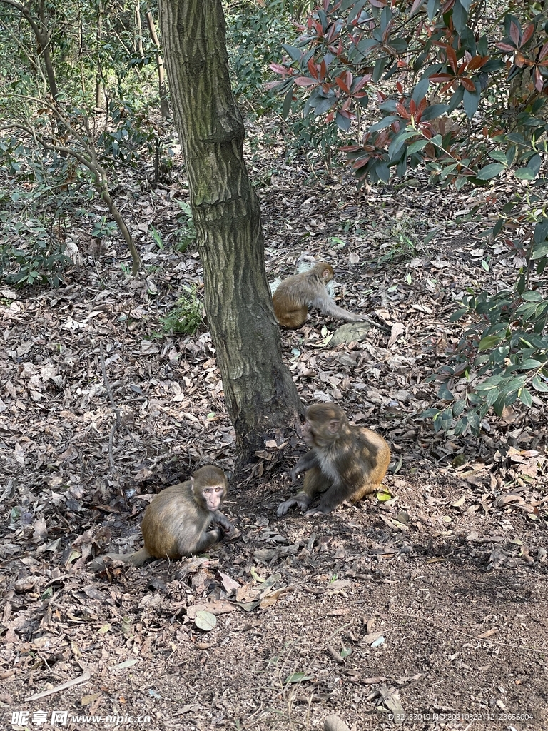 贵阳黔灵山