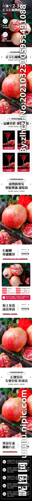 水果突尼斯软籽石榴树苗详情描述