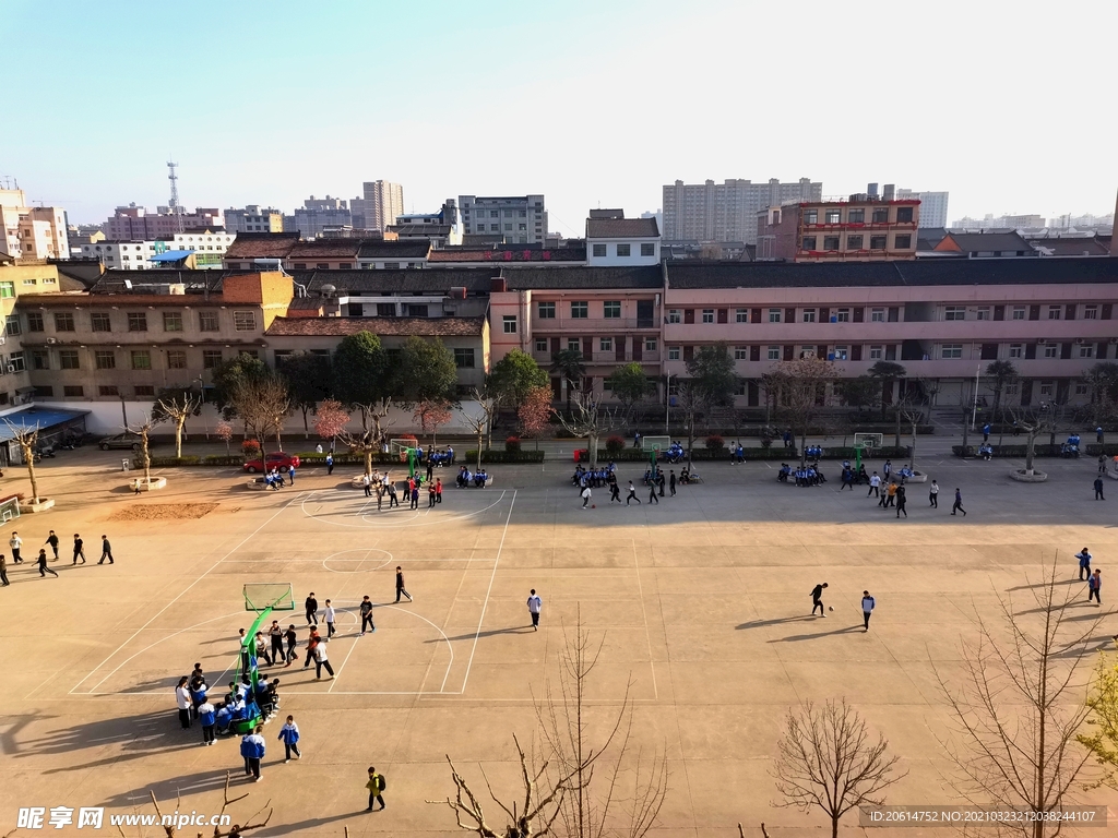 美丽的校园风景