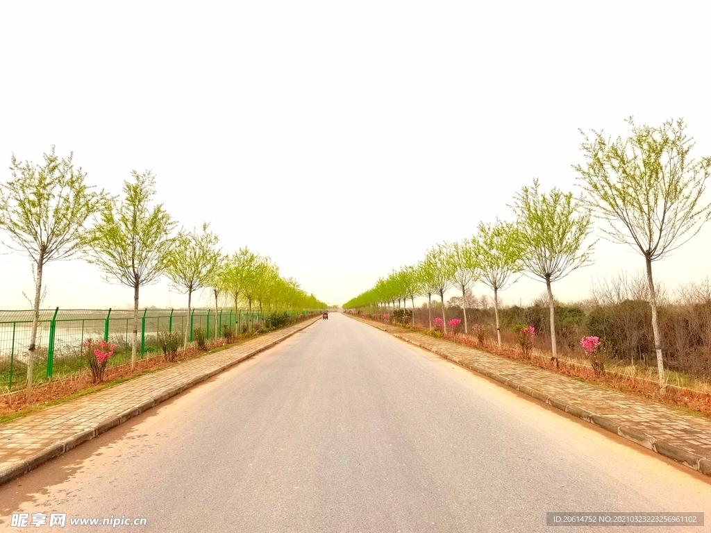 空荡荡的道路风景