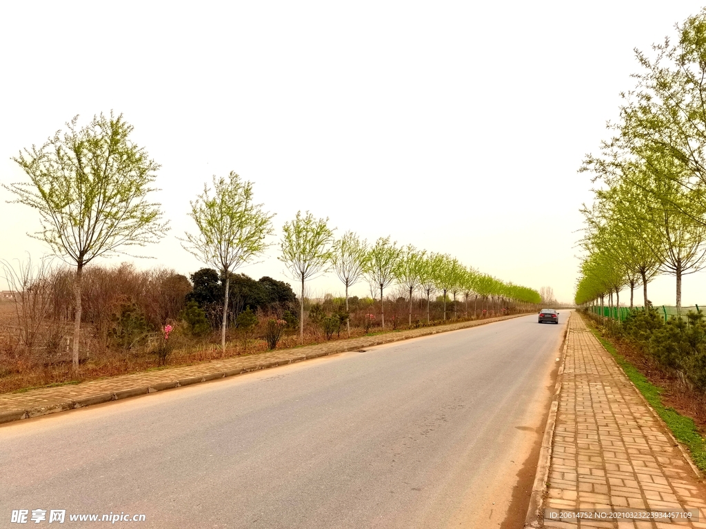 空荡荡的道路风景