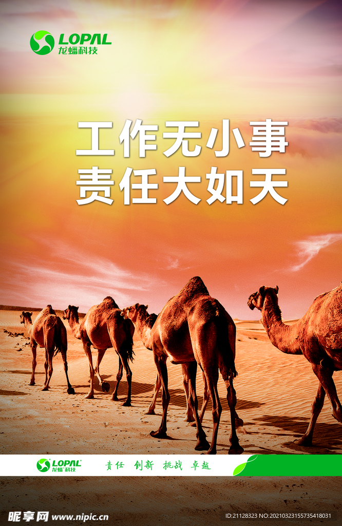 企业文化