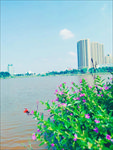 小碎花