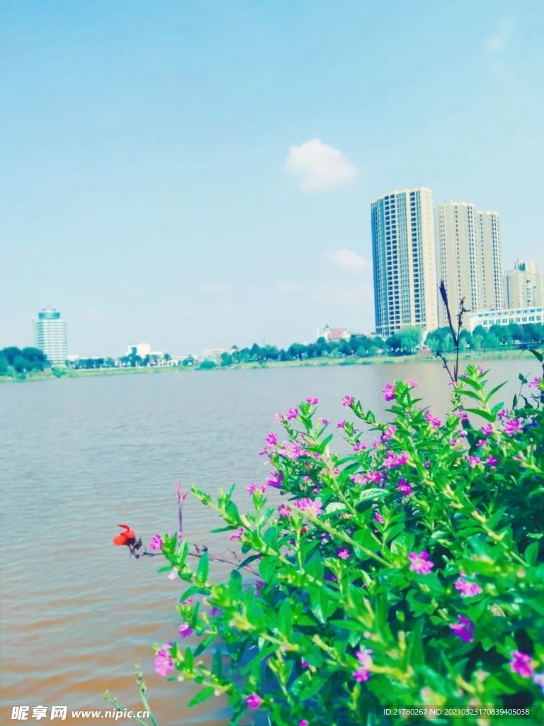 小碎花