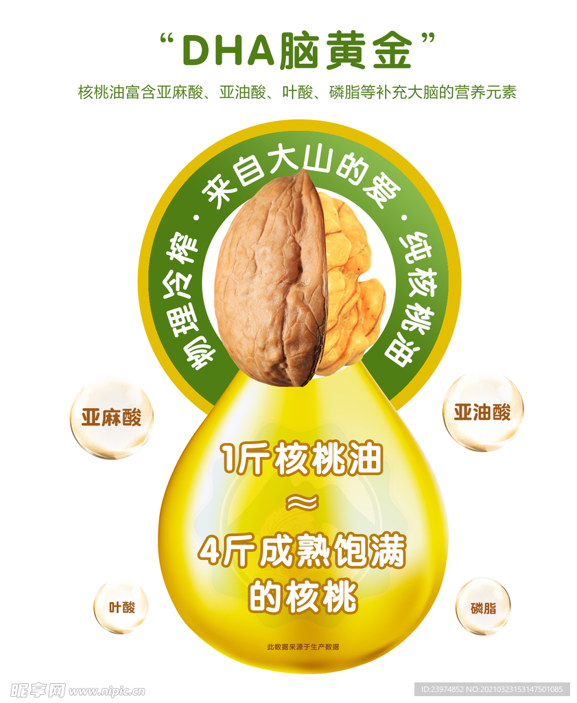 石家庄市丸京干果有限公司核桃油