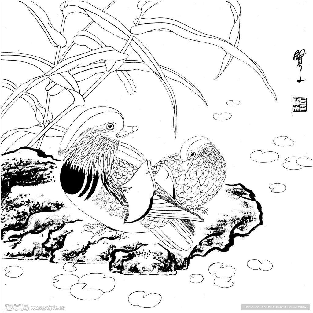 花鸟白描