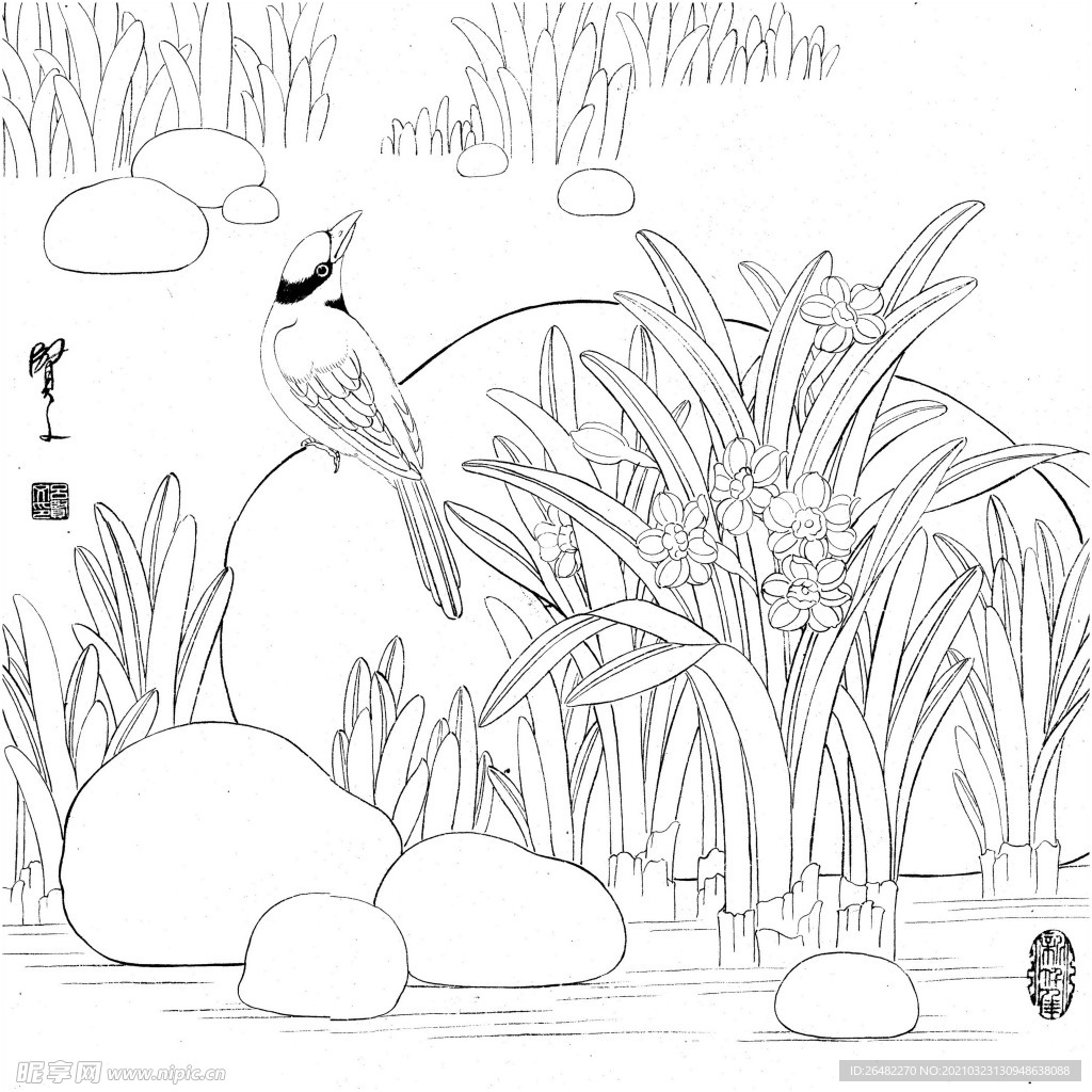 花鸟白描