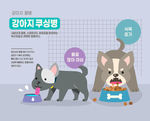 宠物生病插画