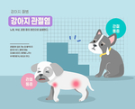 宠物生病插画