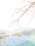 小清新植物插画