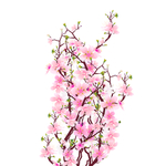 梅花装饰花朵元素