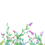 花朵元素
