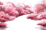 樱花素材