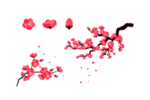 樱花素材