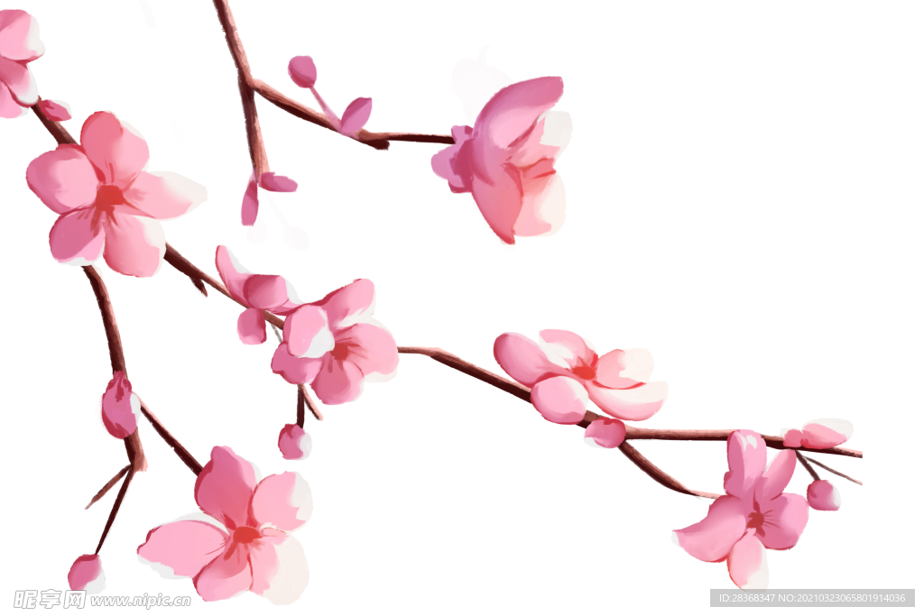 樱花素材