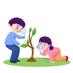 观察植物