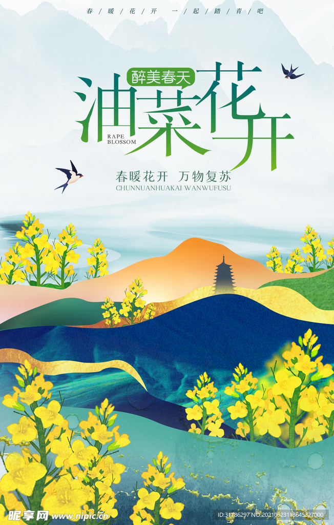 油菜花开