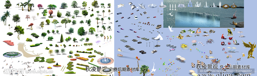 造景 水池 树木