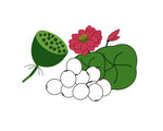 湘莲手绘