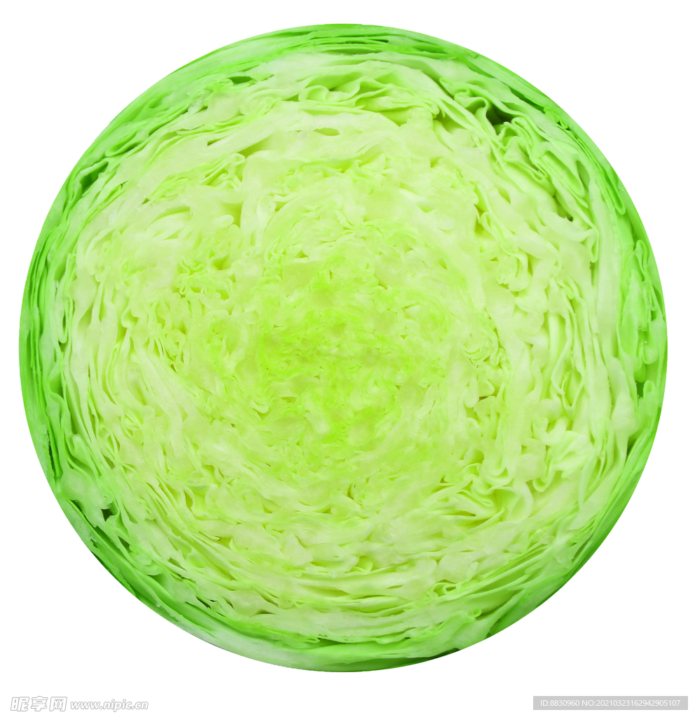 包菜
