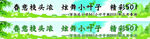 春游横幅