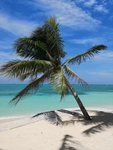 椰子树 沙滩 海景 海边风景
