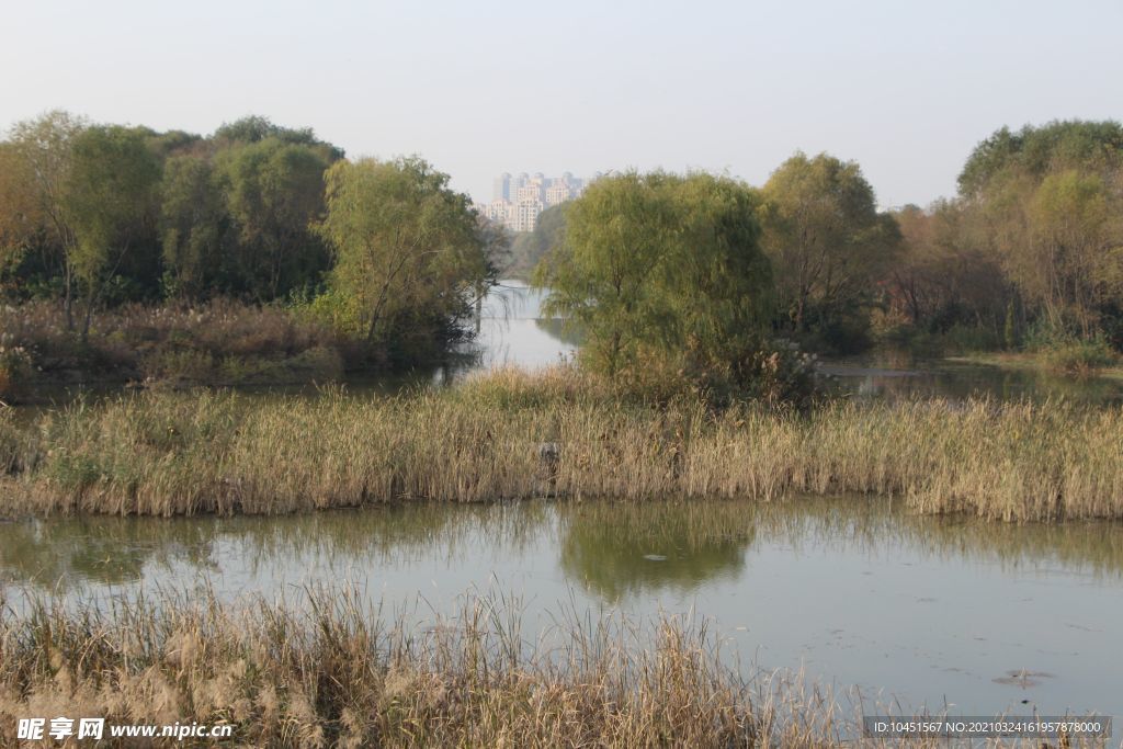 湿地公园湖泊秋景