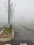 大雾天气