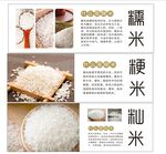 米面粮油