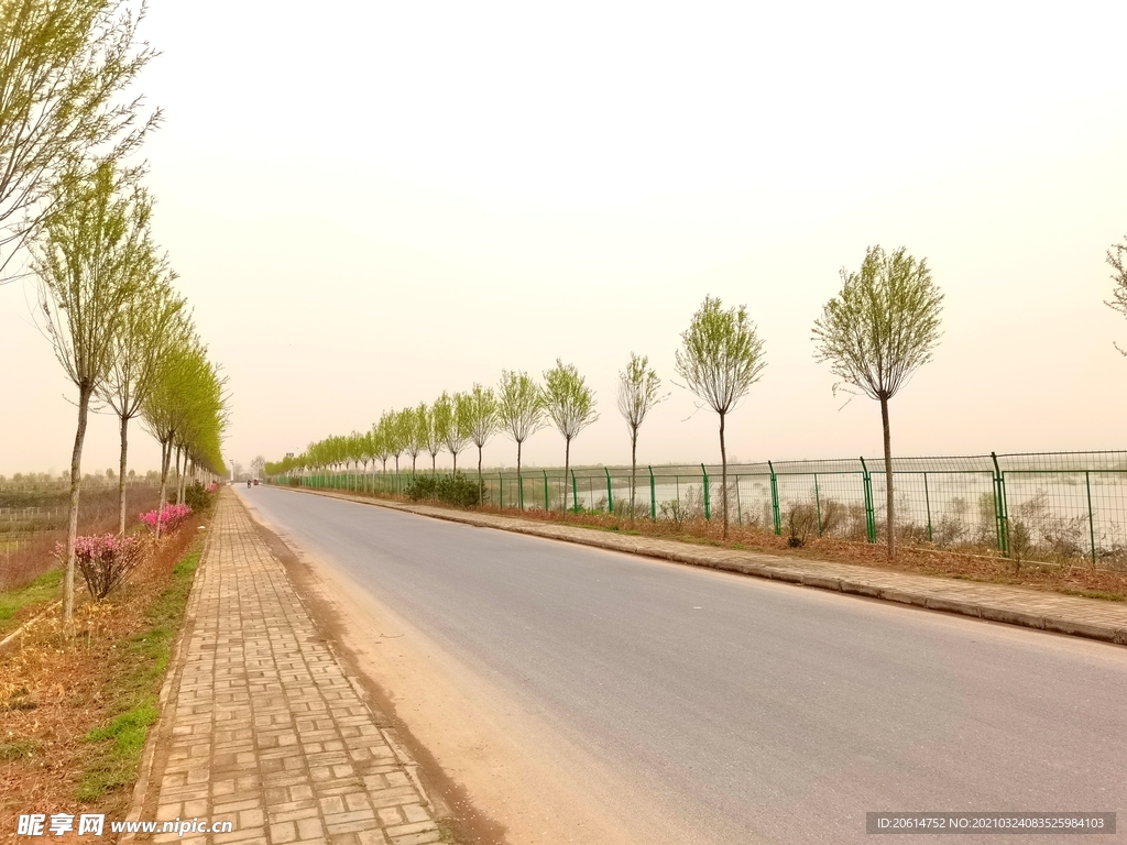 乡村道路风景