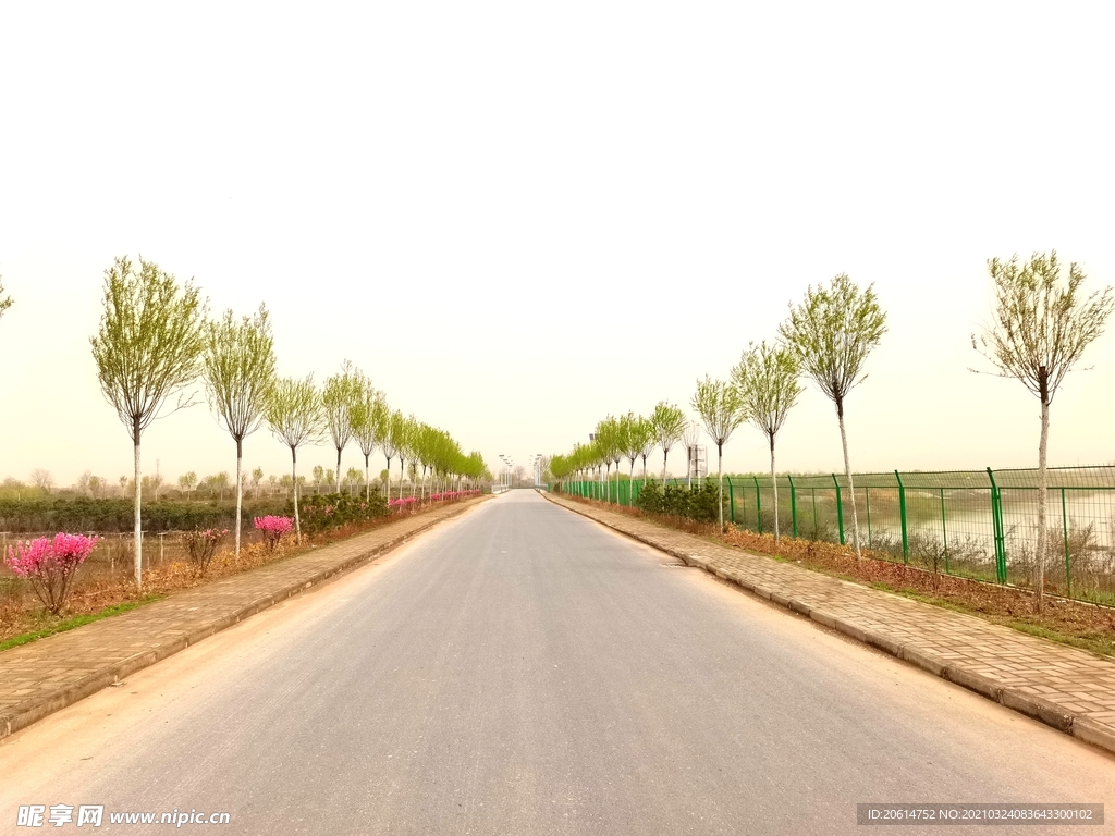 乡村道路风景