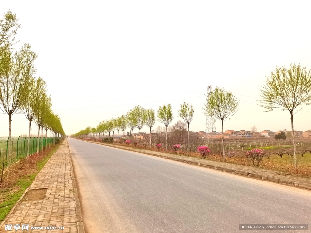 乡村道路风景