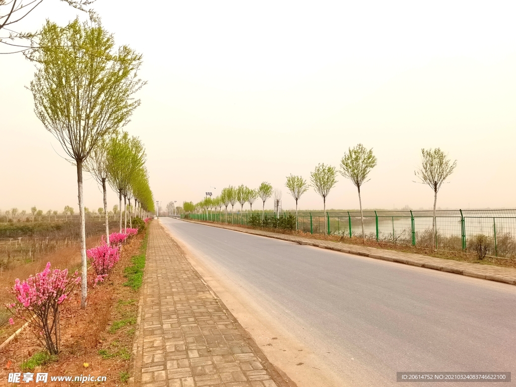 乡村道路风景