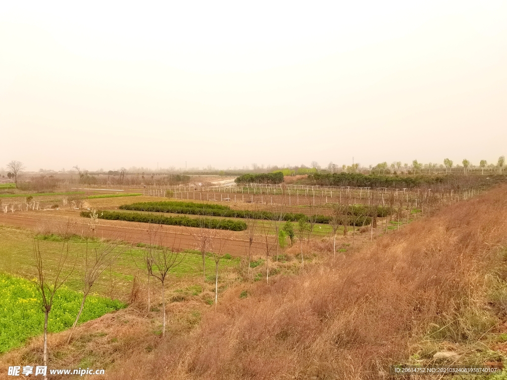 美丽的乡村风景