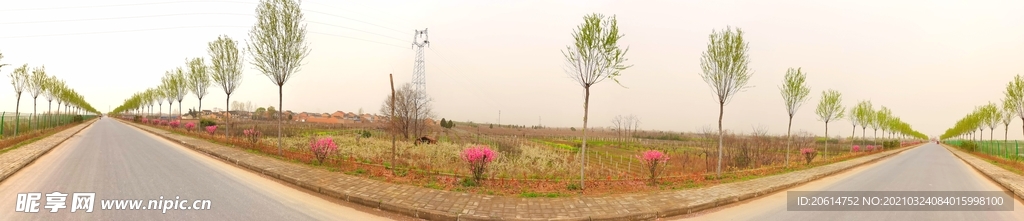 乡村道路风景