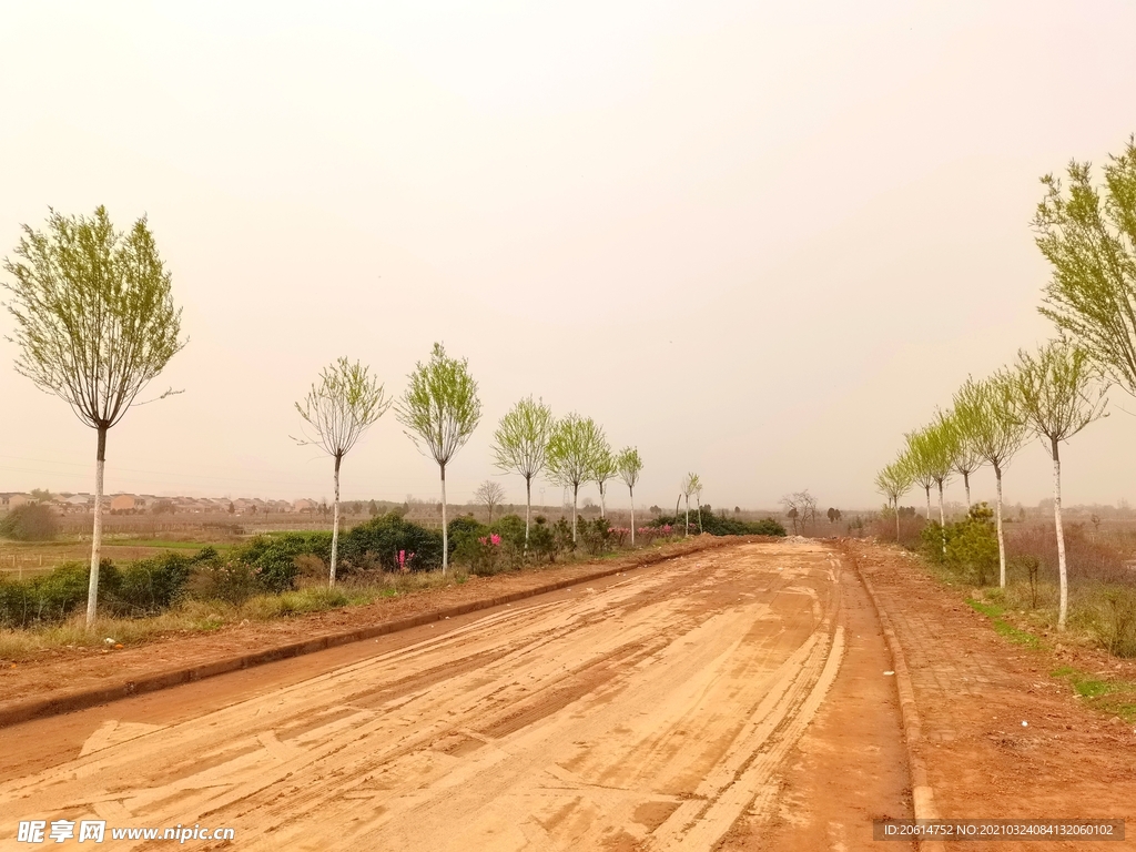 美丽的乡村风景