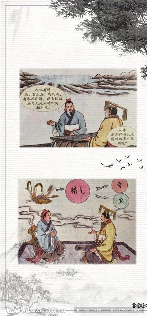 中医文化 药材文化 中医发展史