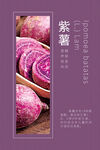 紫色美食紫薯蔬菜蔬果海报