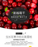 蔓越莓长图海报