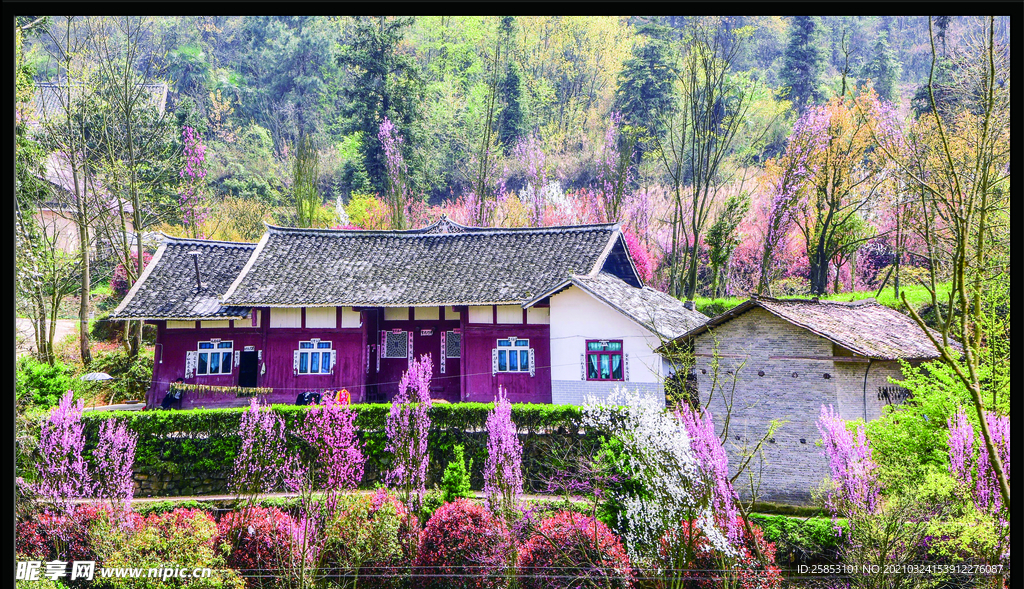 田野村居