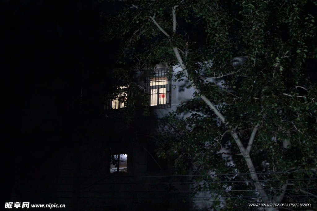 晚上透过树林看到窗户内的微光