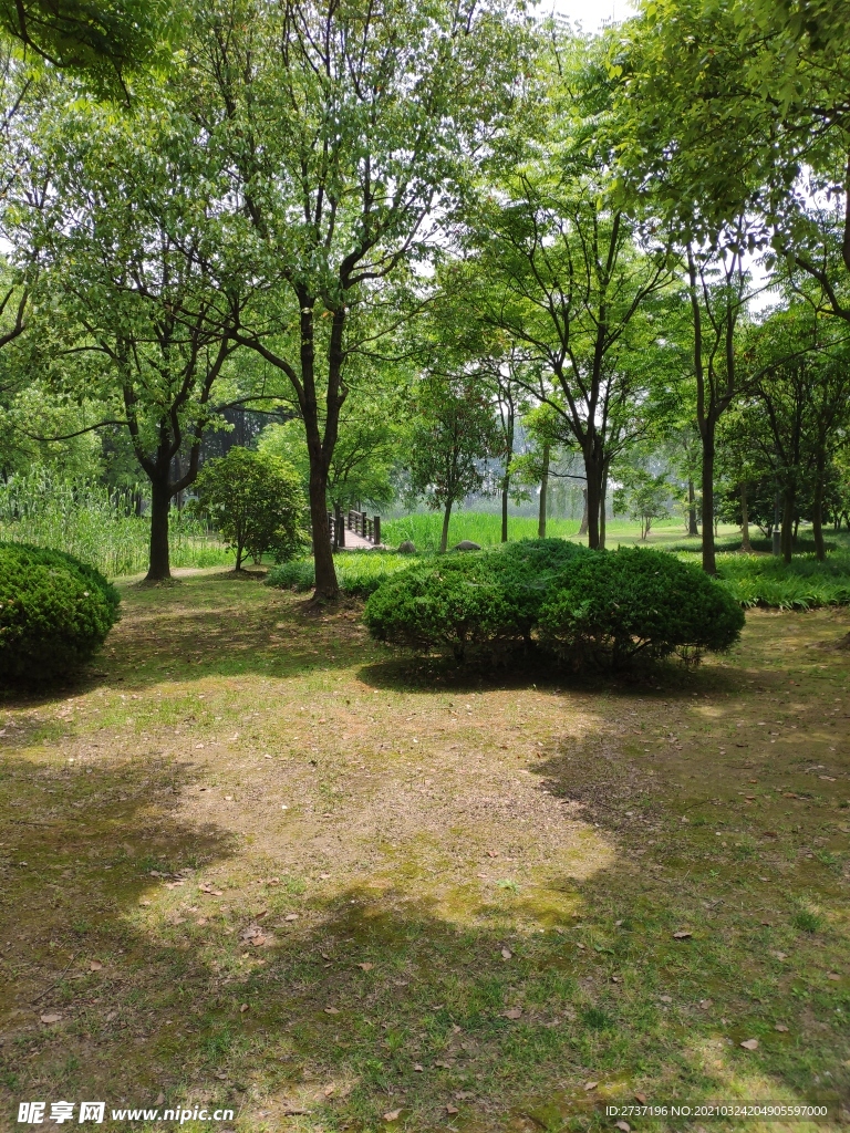 马山风景