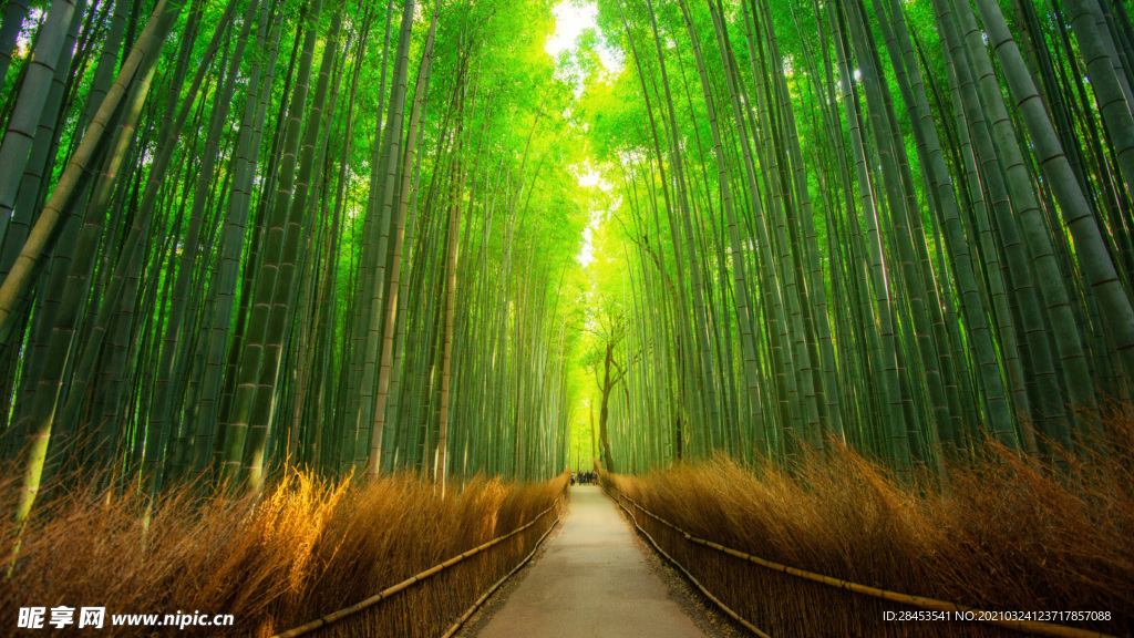 风景