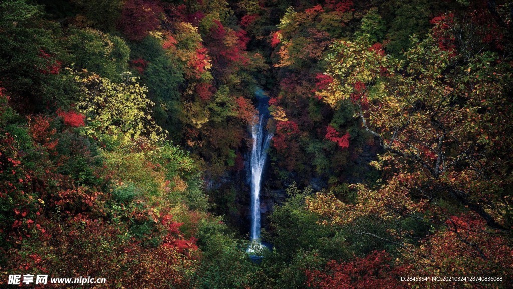 风景