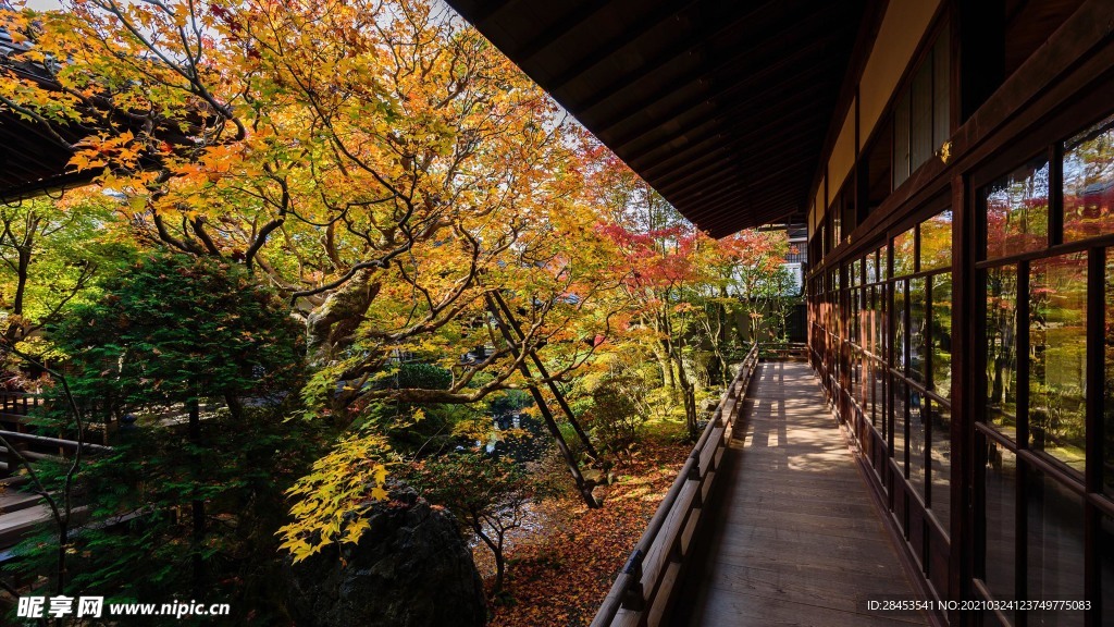 风景